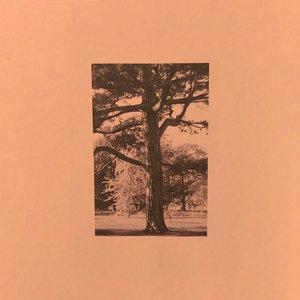 国产在线播放你懂的
